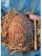Freckle Easter Egg